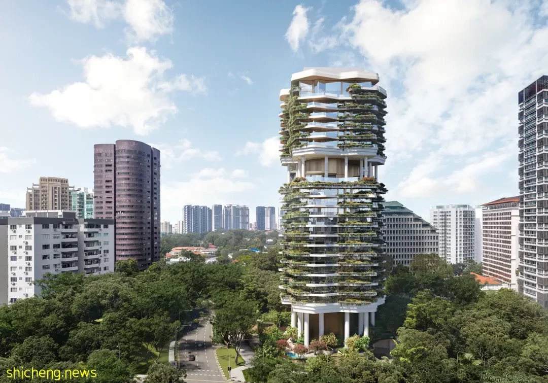 新加坡市面这种房子卖得最快,有钱也没几套可买了
