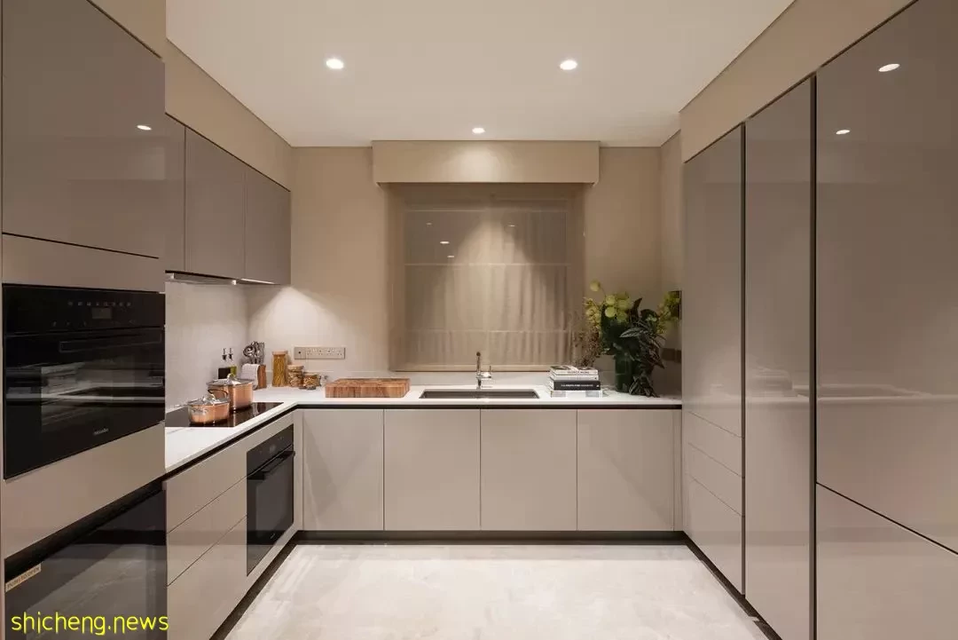 新加坡市面这种房子卖得最快,有钱也没几套可买了