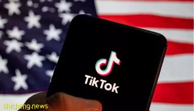 TikTok四面楚歌!这个新加坡人全球刷屏,正面交锋美国议员嘴脸!他是谁?