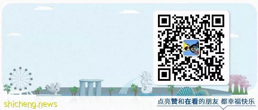 不是吧阿sir…这也要被罚款啊?在新加坡千万不能做以下这些事情