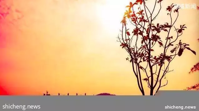 这城市最美的景色,你见过吗?