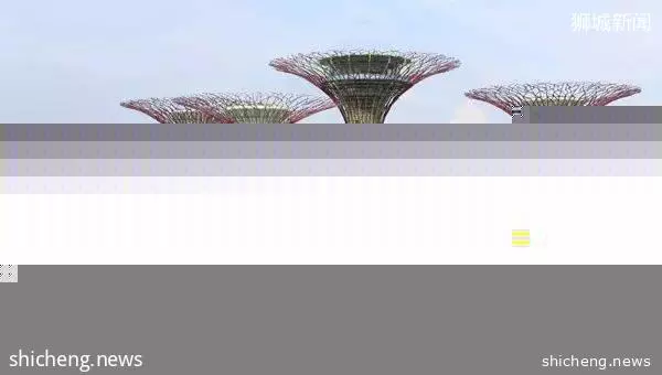 漂在新加坡,你过上自己想要的生活了吗?