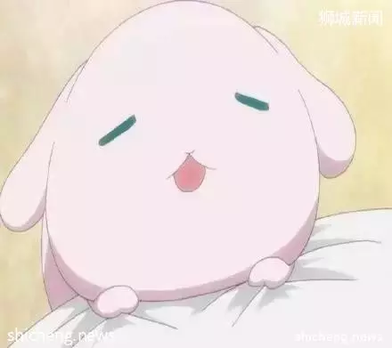 新加坡夏季吃喝玩乐秘籍