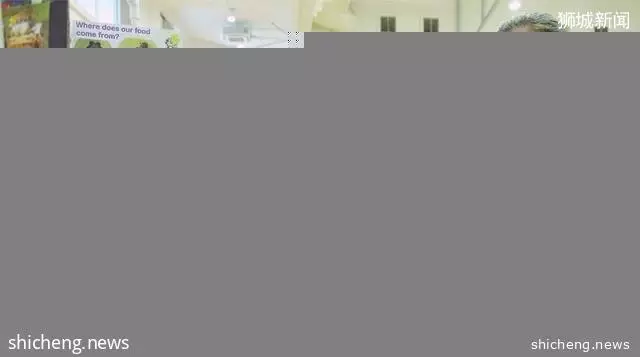 准留学生:与其他热门国家相比,新加坡留学有哪些优势呢?