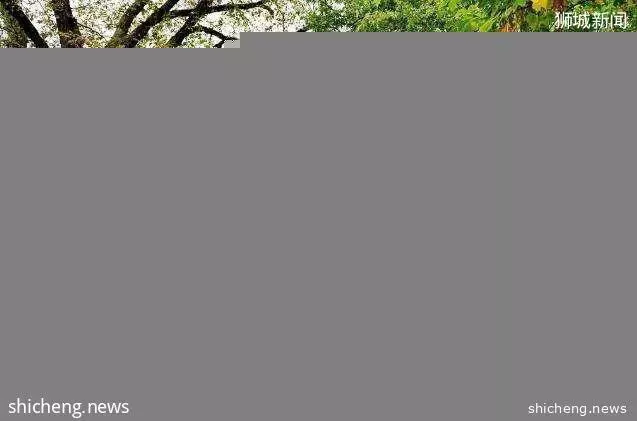 准留学生:与其他热门国家相比,新加坡留学有哪些优势呢?