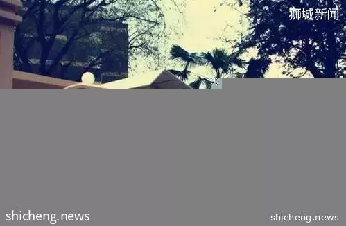 送孩子去新加坡留学前,这些初高中入学细则你必须知道
