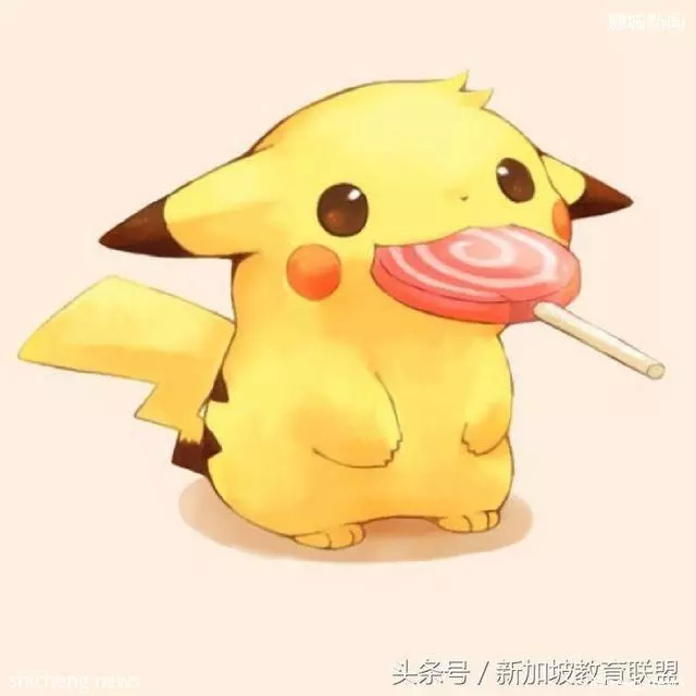 为新加坡留学做准备,这些知识你都得了解的妥妥哒