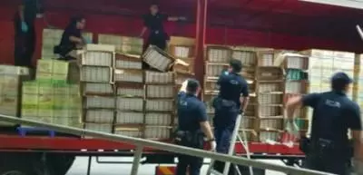 最新害新柔长堤塞爆两天完整细节都在这