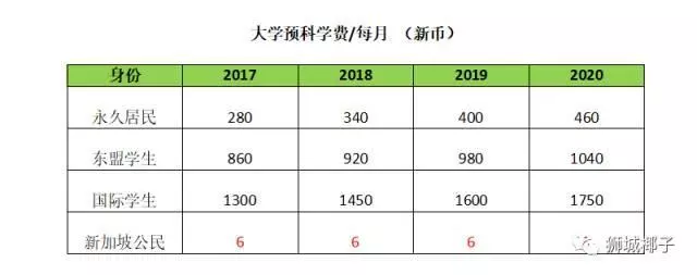 在新加坡上学需要多少钱?小学,中学,JC,大学学费盘算