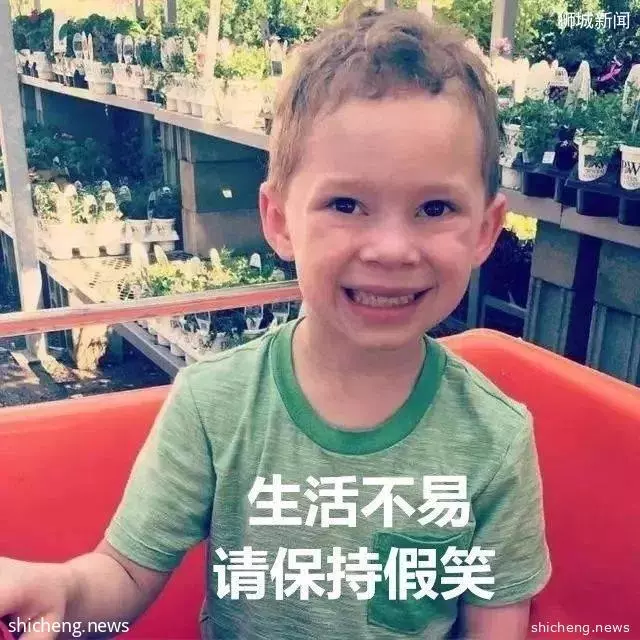 在新加坡上学需要多少钱?小学,中学,JC,大学学费盘算