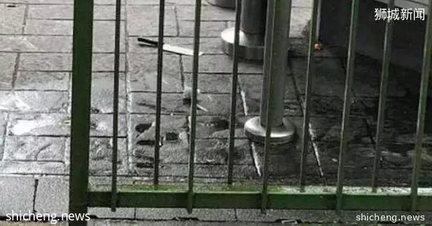 新加坡现实版古惑仔,当街砍人