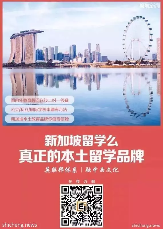 新加坡国际学校哪个好?这些师资力量超强的国际学校是孩子上乘之选