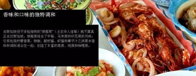 Taste of Singapore 品味新加坡