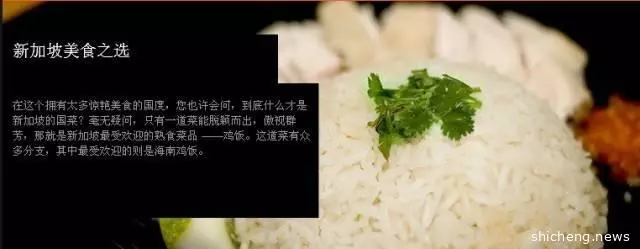 Taste of Singapore 品味新加坡