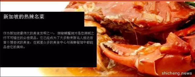 Taste of Singapore 品味新加坡