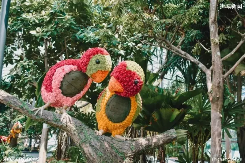 去新加坡旅行,一定要留1天给到这