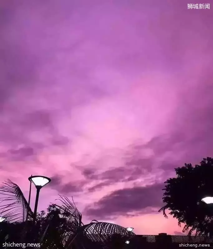 新加坡有了如今的样子, 是多么不可思议