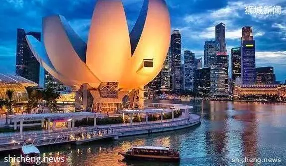 新加坡的奇闻趣事