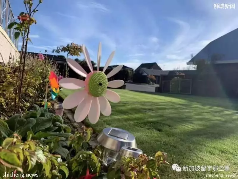 新加坡留学适合什么样人群?什么样的同学适合新加坡留学
