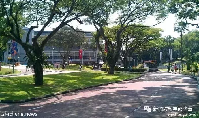 新加坡留学适合什么样人群?什么样的同学适合新加坡留学