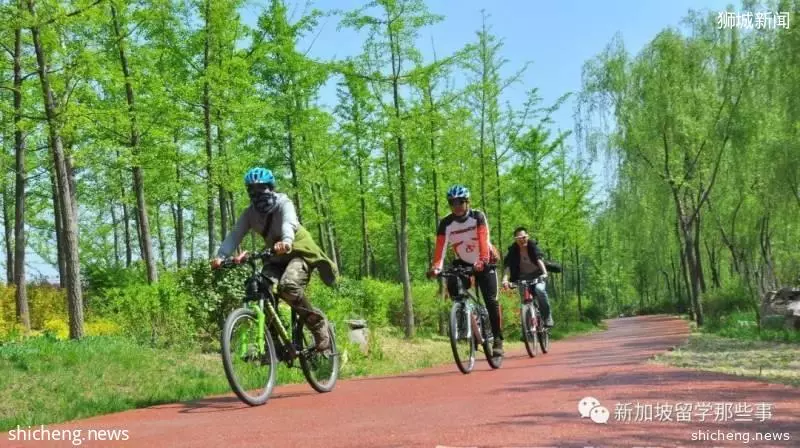 什么样的人适合去新加坡留学