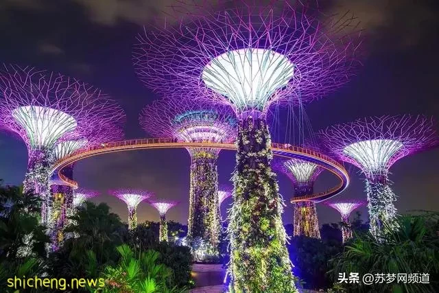 新加坡(Singapore)