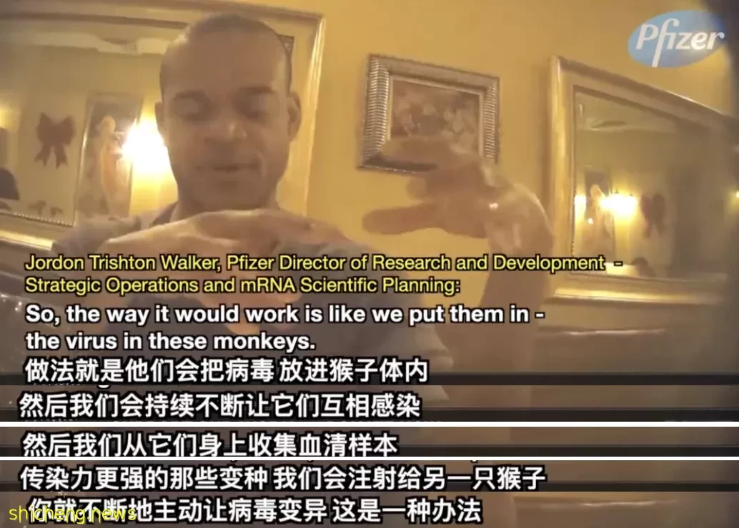 偷拍泄漏!辉瑞高管亲口承认制造变异病毒!新冠或人为泄漏?李显龙曾这么说