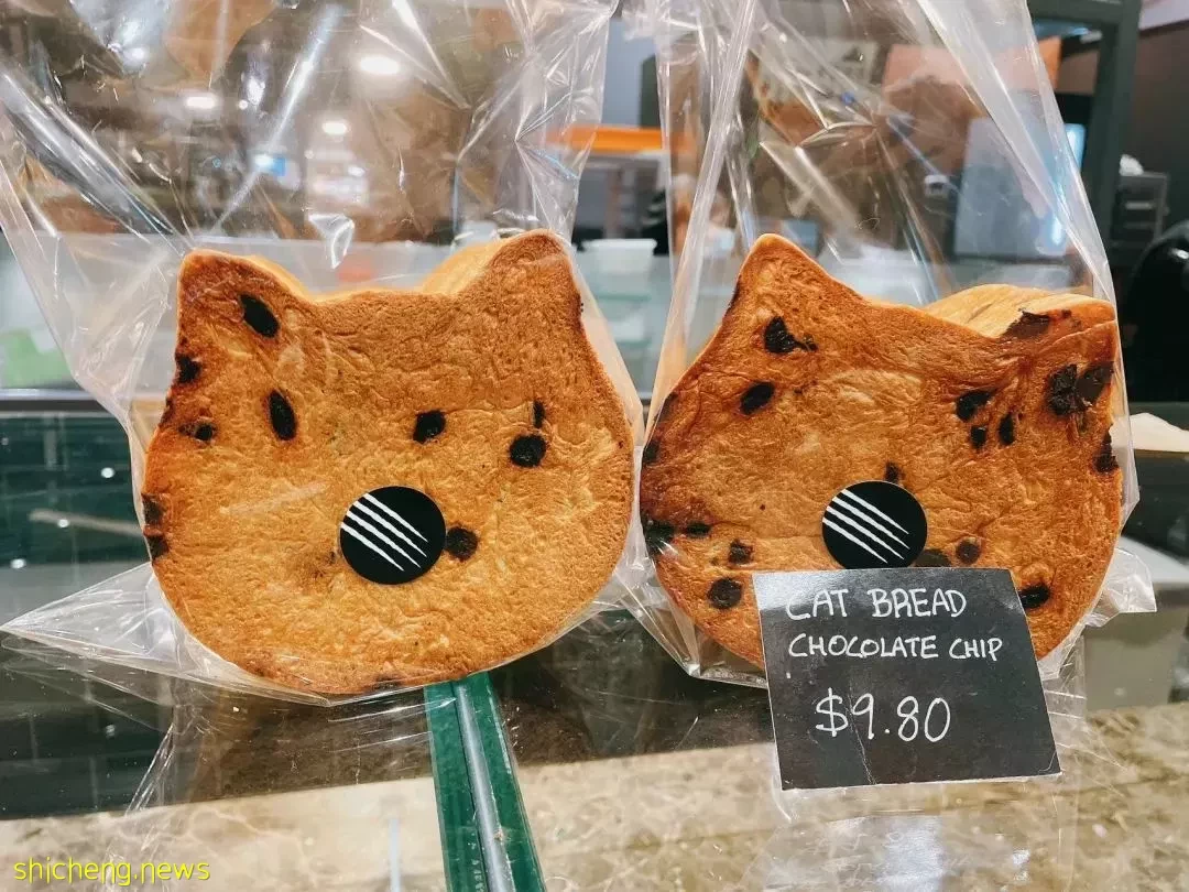 猫咪控的咖啡馆!小猫造型的面包和蛋糕,啊啊啊太卡哇伊了