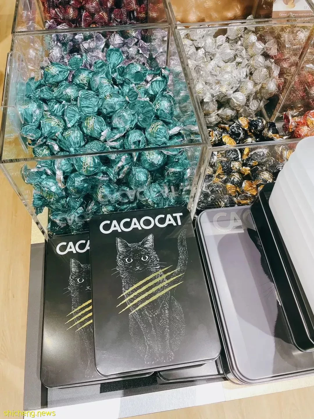 猫咪控的咖啡馆!小猫造型的面包和蛋糕,啊啊啊太卡哇伊了