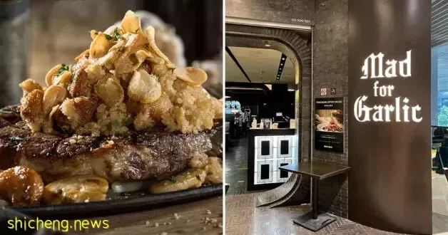 本周折扣!星巴克半價!拉麵披薩免費吃!日本美食展來了