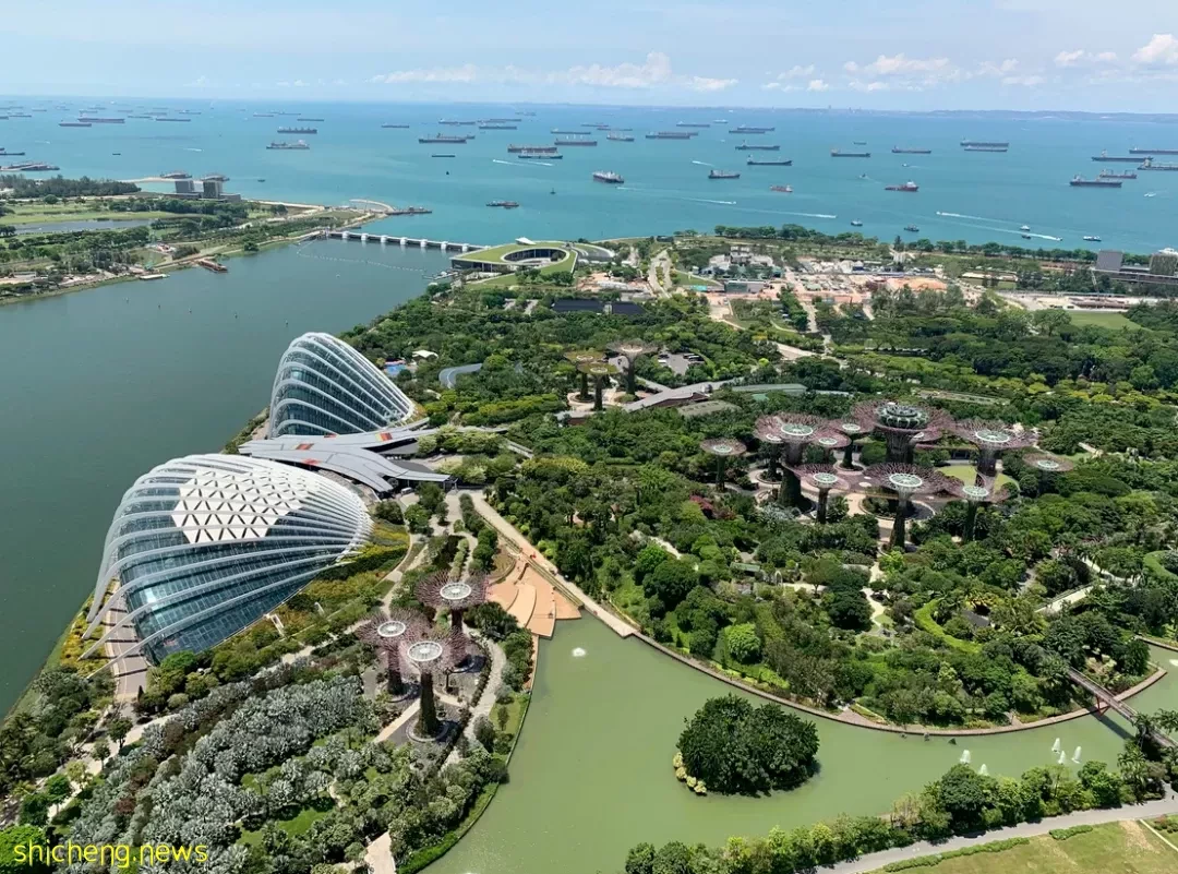 万万没想到,新加坡游学还能这样边学边玩