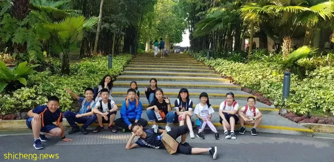 万万没想到,新加坡游学还能这样边学边玩