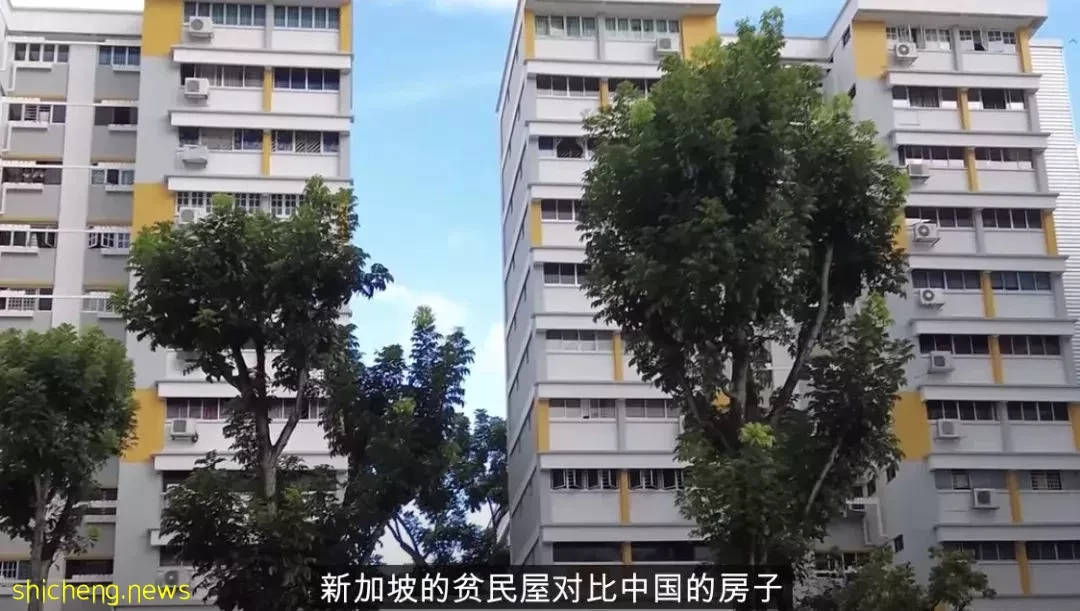 “住组屋的是下等人!” 新加坡女子这句话被他怒怼!现任总统曾住组屋超30年