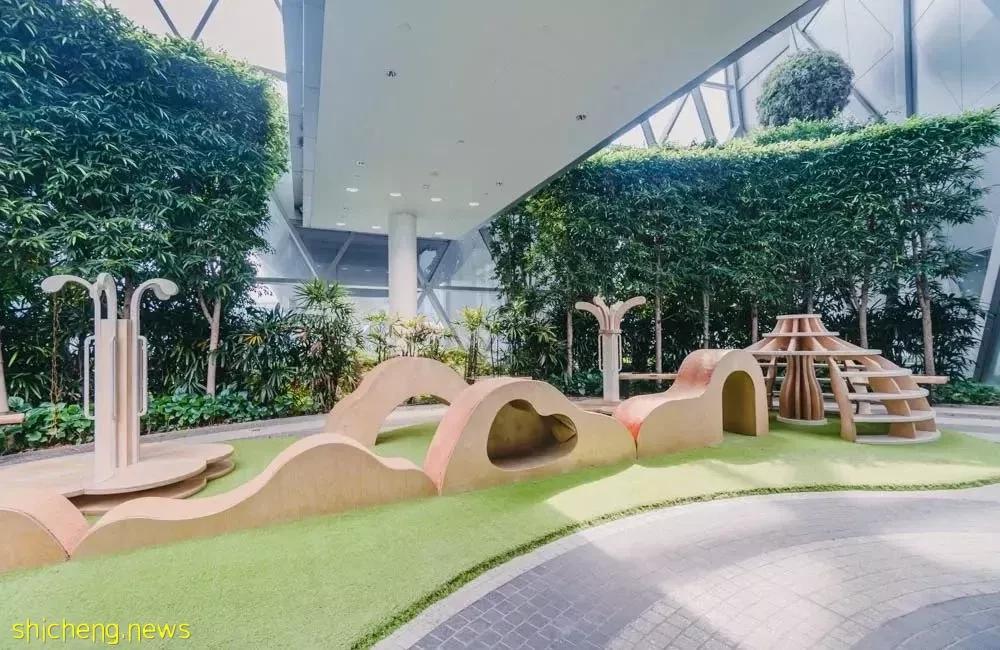 樟宜机场的隐藏玩法,9个你不知道的遛娃好地方,放电整整一天