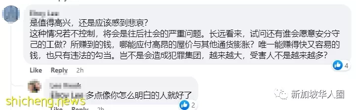 新加坡发展商48栋洋房清盘出售,本地富豪砸几千万新币买了十栋