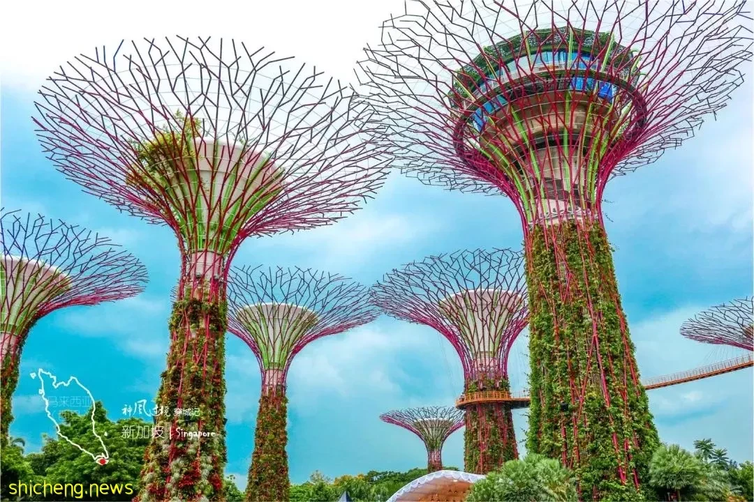 新加坡旅行攻略