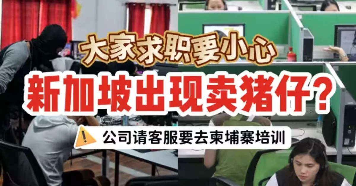 新加坡出现卖猪仔?本地公司请客服要去柬埔寨培训!大家求职务必要小心! | 狮城新闻 | 新加坡新闻