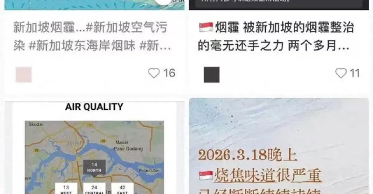 凌晨被烟味熏醒，白天被高温烤晕！新加坡人太难了…… | 狮城新闻 | 新加坡新闻