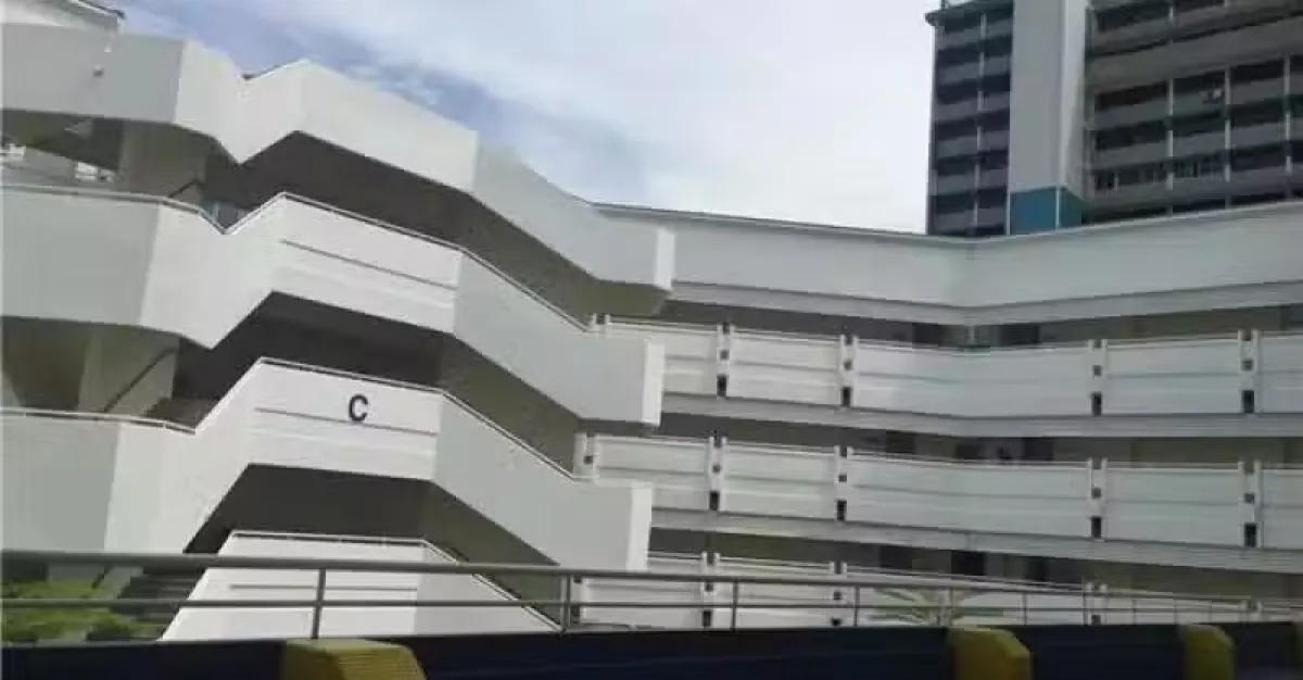专科生留学新加坡的方式 | 狮城新闻 | 新加坡新闻